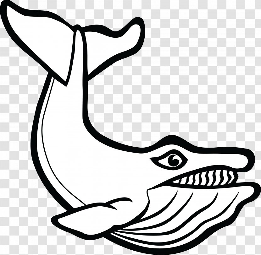 Cetacea Mammal Beluga Whale Porpoise Clip Art - Artwork - Border Transparent PNG