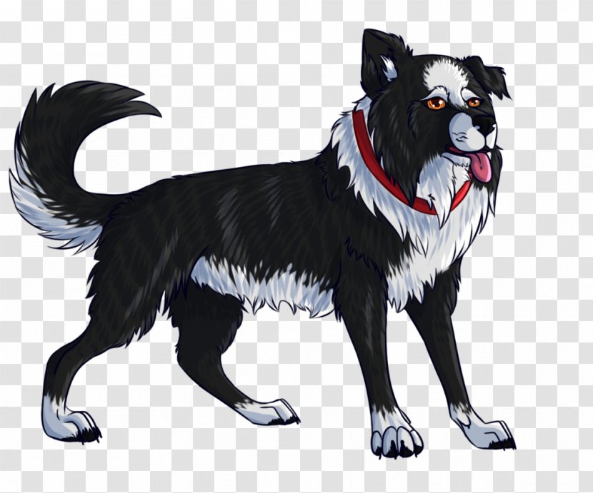 Dog Breed Karelian Bear Snout - Border Collie Transparent PNG