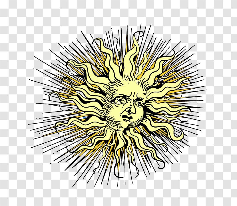 Graphic Design Euclidean Vector - Symmetry - Fried Hair Sun Transparent PNG