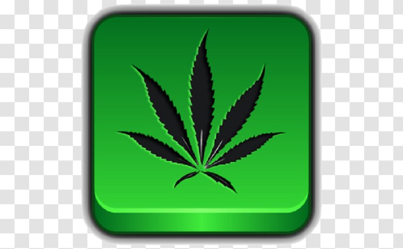 Cannabis 420 Day Clip Art - Grass Transparent PNG