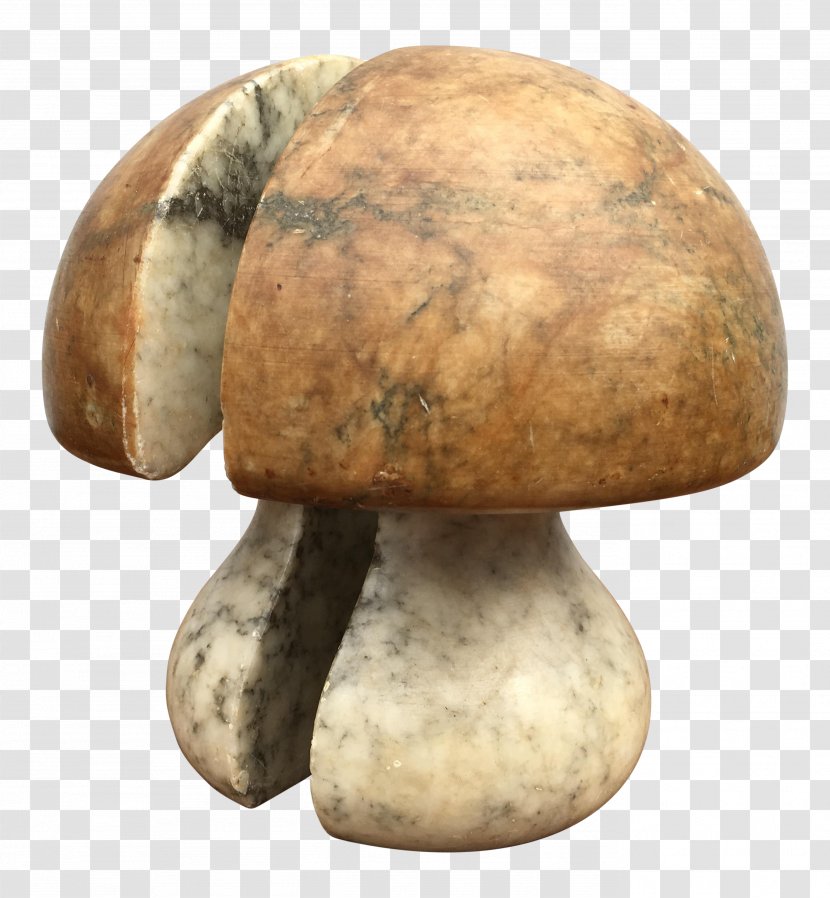 Common Mushroom - Agaricaceae - Enoki Transparent PNG