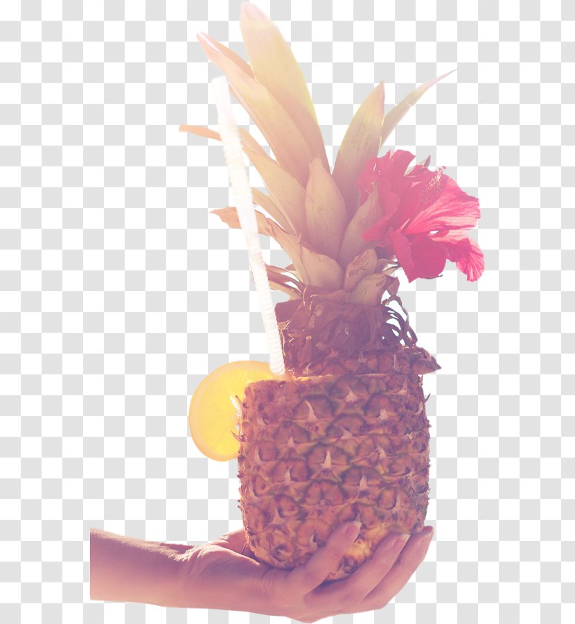 Pineapple Privacy Policy 0 February 1 - Food - Dragon Fruit Transparent PNG