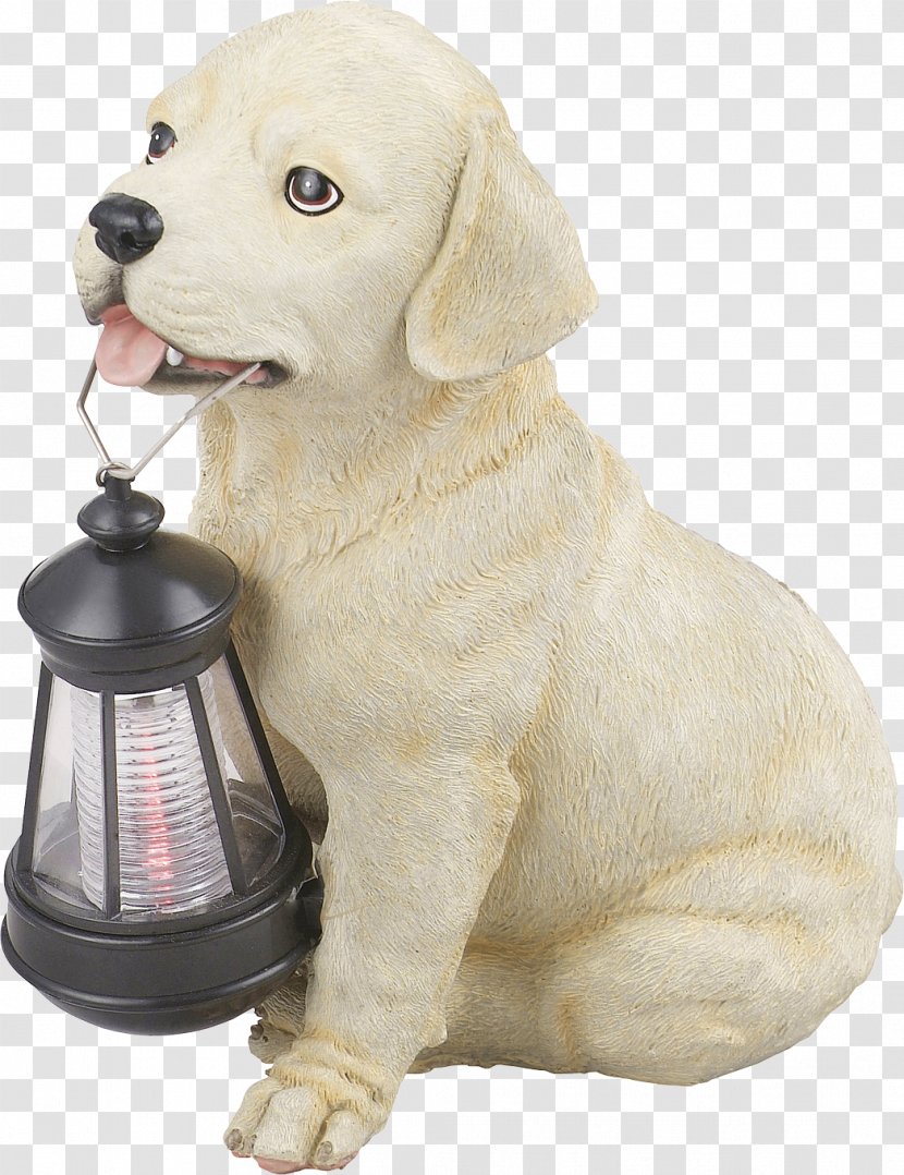 Light Fixture Solar Lamp Street Garden - Dog Clothes - Golden Retriever Transparent PNG