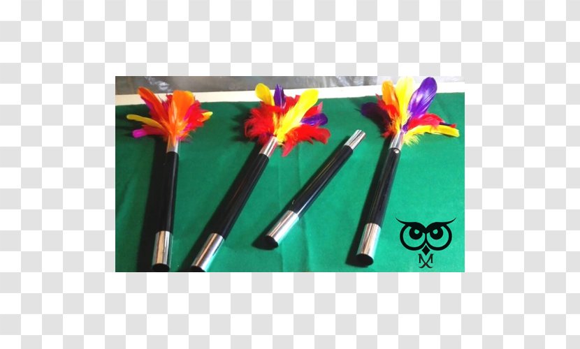 Flower - Feather Duster Transparent PNG