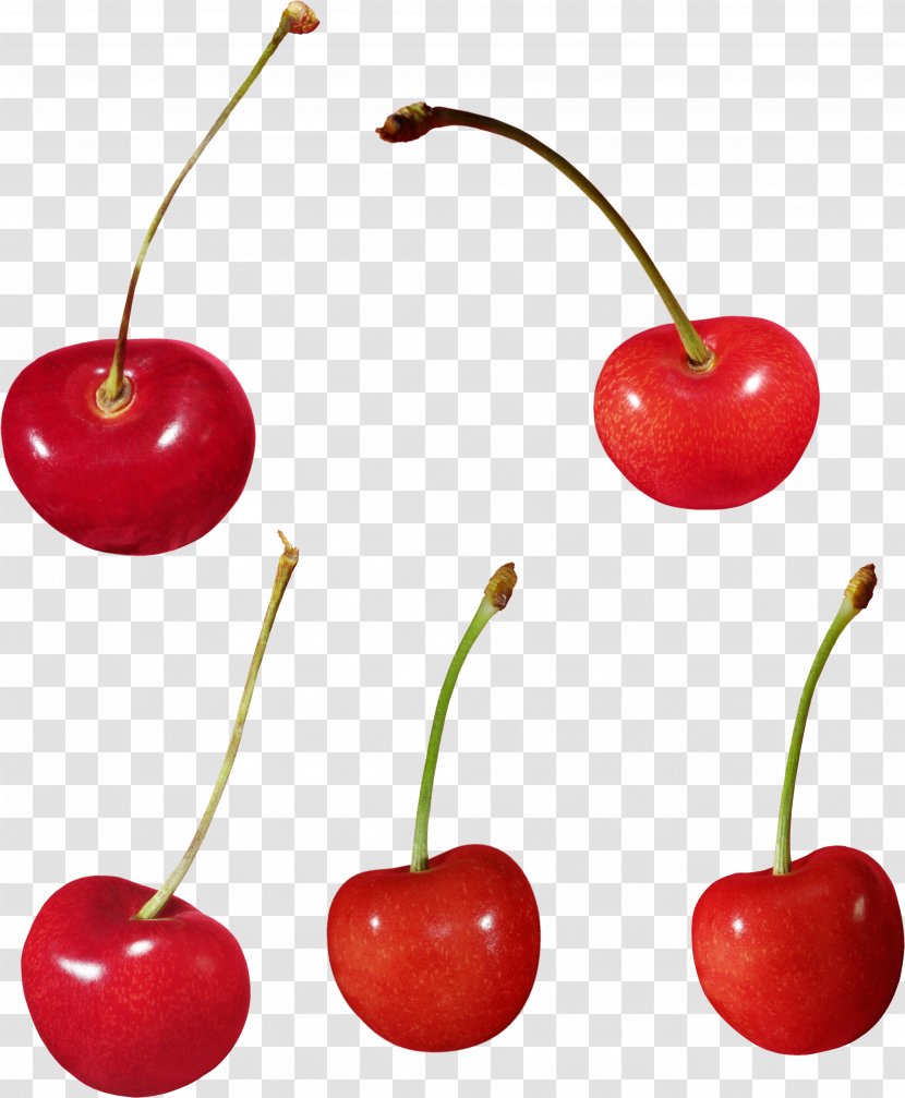 Cherry Food Cerasus - Acerola - Mangosteen Transparent PNG