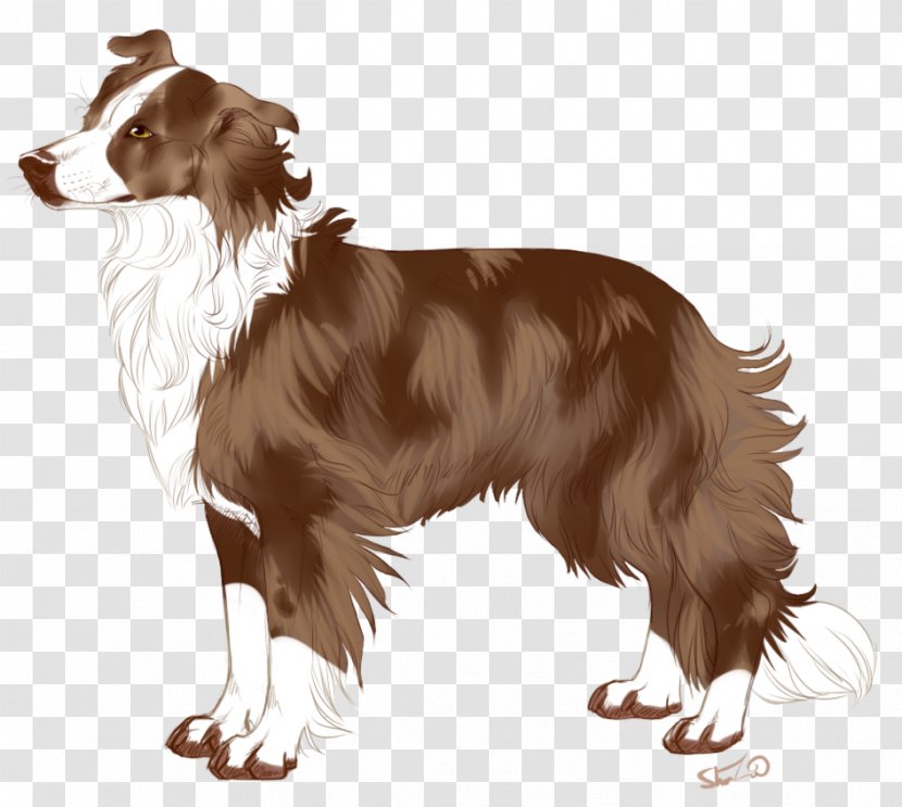 Dog Breed Border Collie Companion Spaniel Rough Transparent PNG