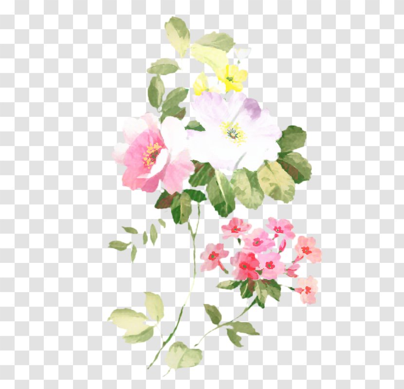 Watercolor Pink Flowers - Flower - Camellia Chinese Peony Transparent PNG