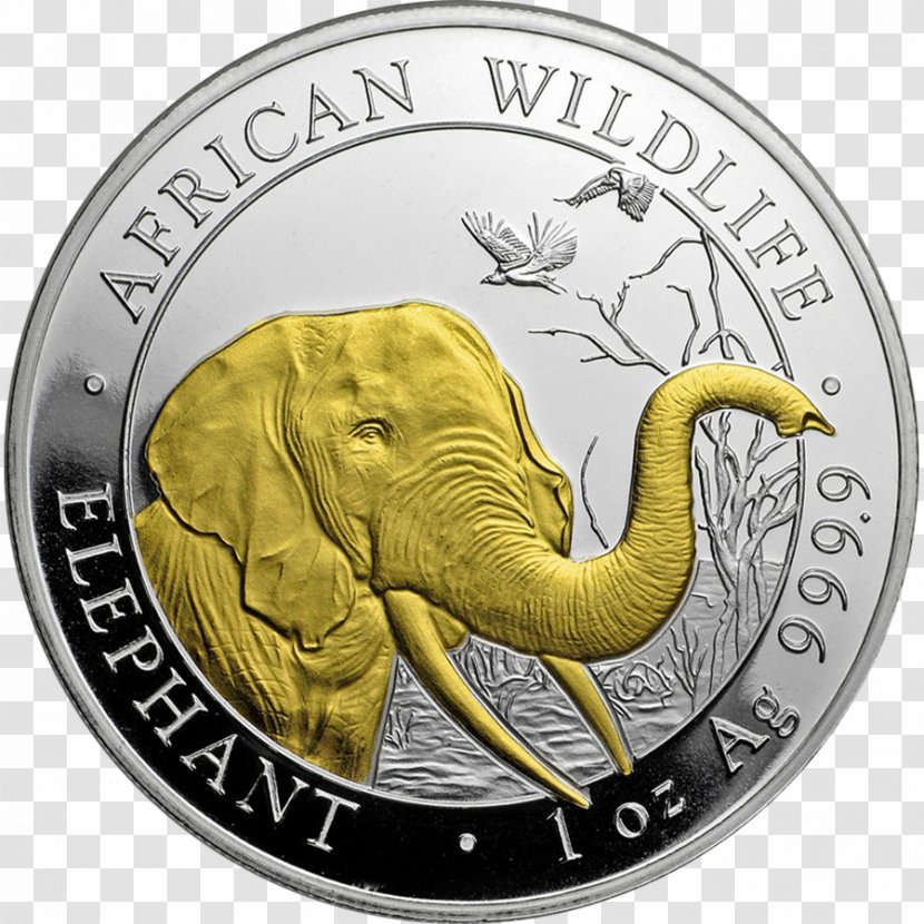 Bullion Coin Silver Gold - Elephantidae Transparent PNG