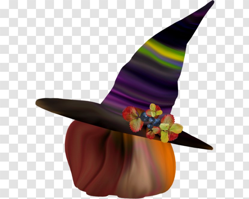 Witch Hat - Pumpkin Flowers Transparent PNG