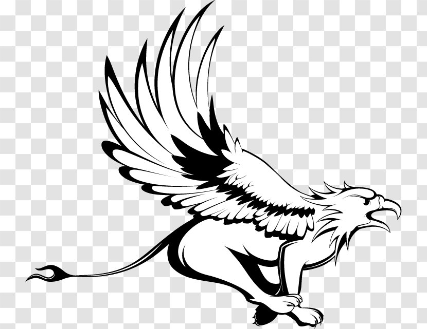 Griffin Financial Advisers Art - Feather Transparent PNG