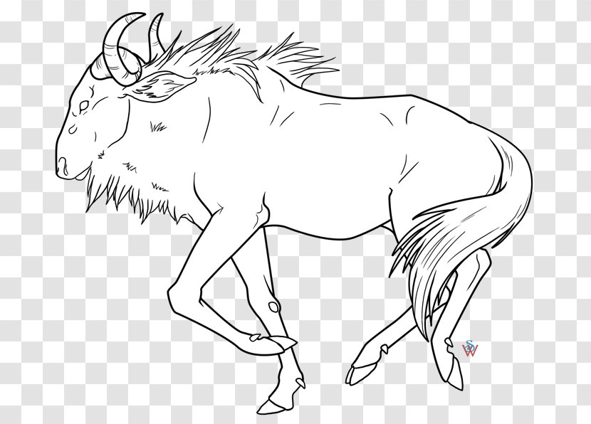 Mustang /m/02csf Wildlife Line Art Drawing Transparent PNG