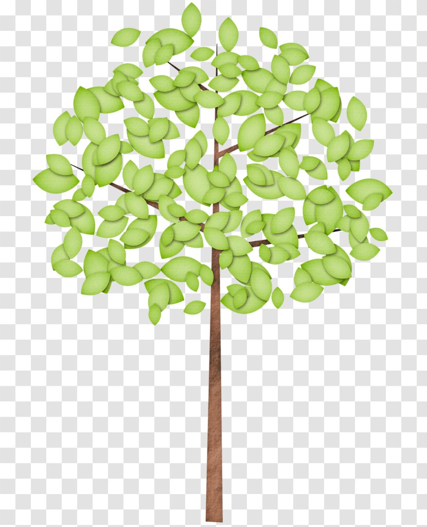 Tree Branch Silhouette - Green - Symbol Plant Stem Transparent PNG