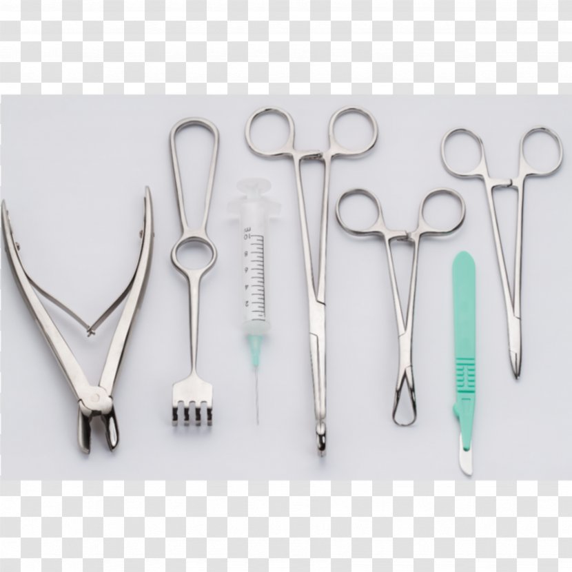 Surgical Instrument Medical Equipment Surgery Forceps - Stock Photography - Light Seeker Transparent PNG