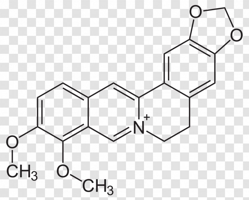 Berberine Goldenseal Hydrochloride Berberis Aristata Common Barberry - Diabetes Mellitus - Apothecary Transparent PNG