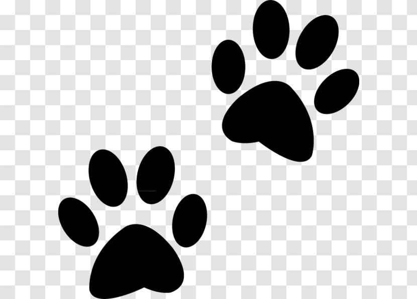 Polydactyl Cat Dog Paw Puppy - Snout Transparent PNG