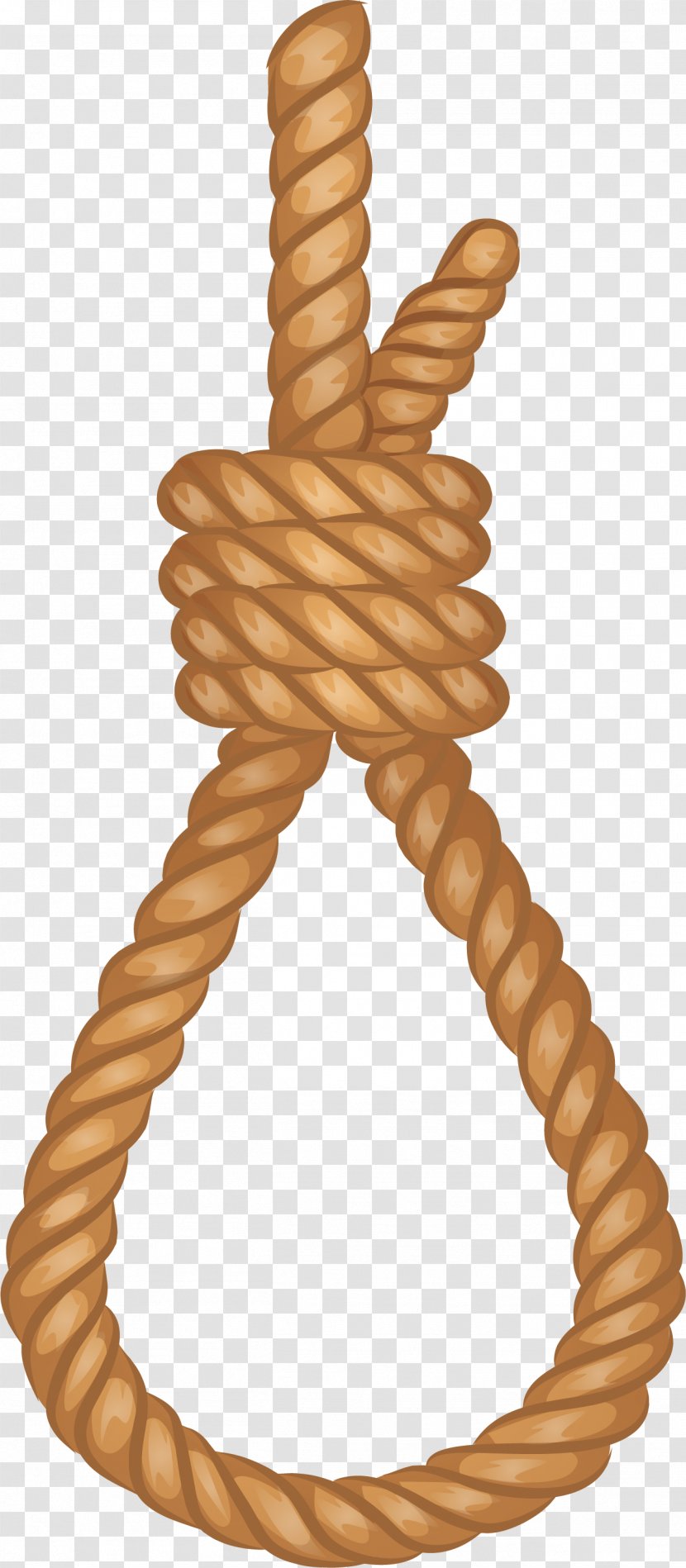 Rope Computer File - Vecteur - Hanging Transparent PNG