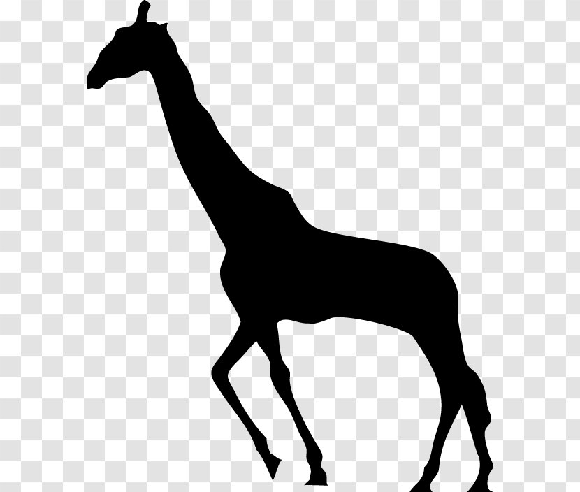 Giraffe Silhouette - Black And White Transparent PNG