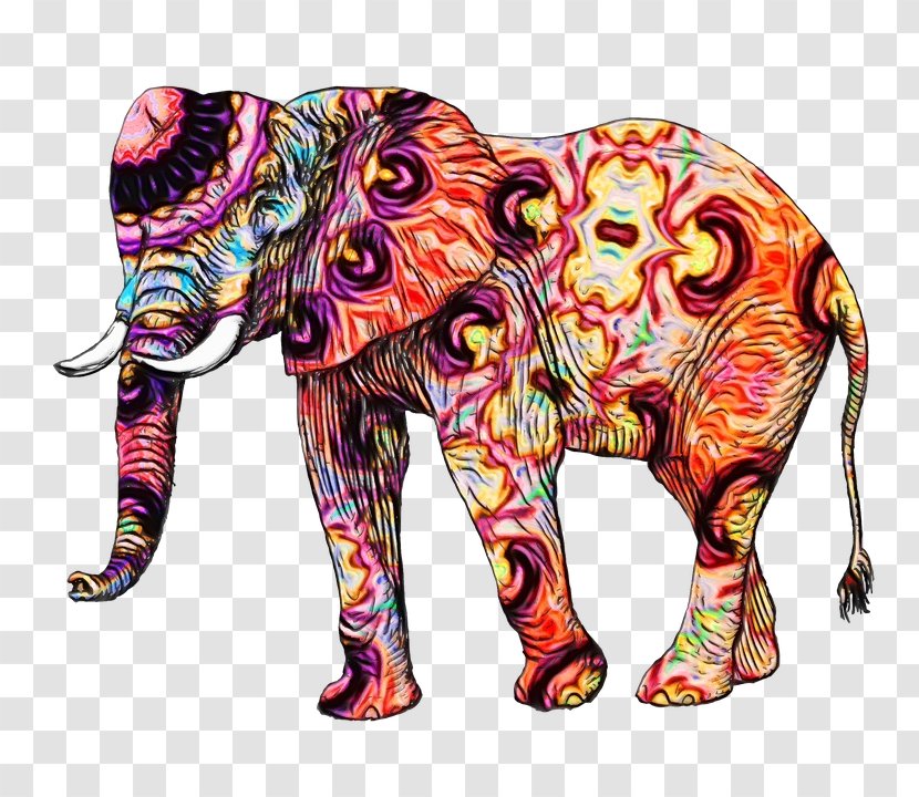 Indian Elephant - African - Visual Arts Wildlife Transparent PNG