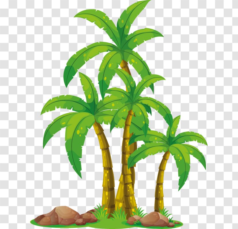 Coconut Vector Graphics Palm Trees Illustration - Grass Transparent PNG