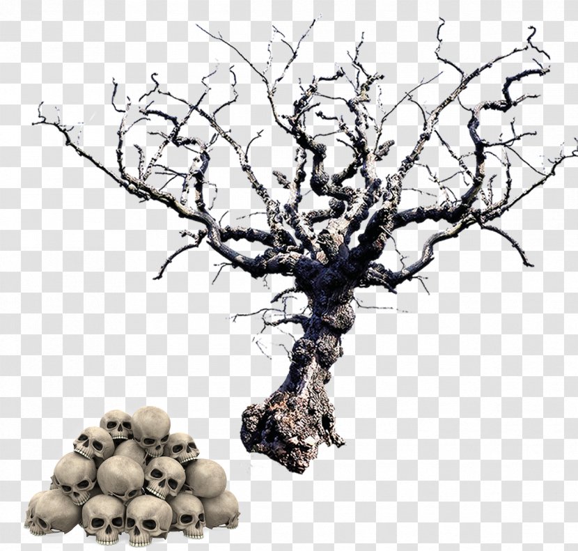 Tree Trunk - Halloween Skeleton Transparent PNG
