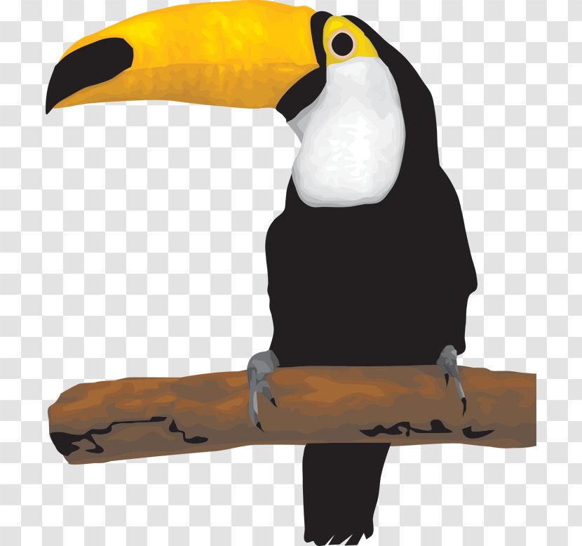 Animation - Bird - Penguin Transparent PNG