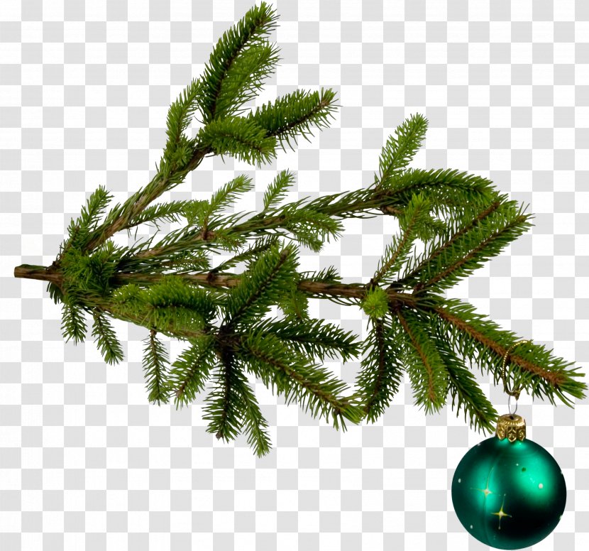 Christmas Tree Branch Ornament - Pre Lit - Image Transparent PNG