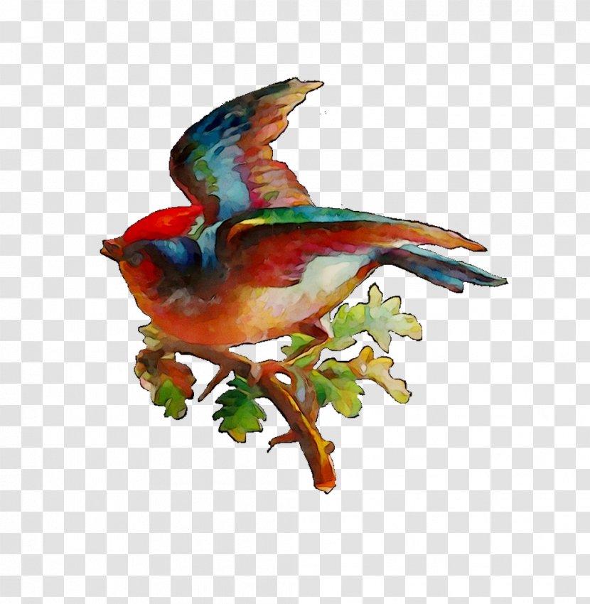 Beak Fauna Feather - Watercolor Paint Transparent PNG