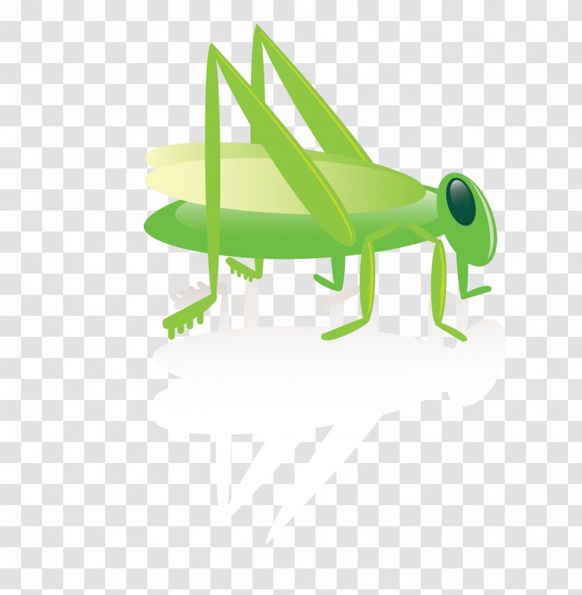 Insect Cartoon Clip Art - Outdoor Furniture - Green Cricket Transparent PNG