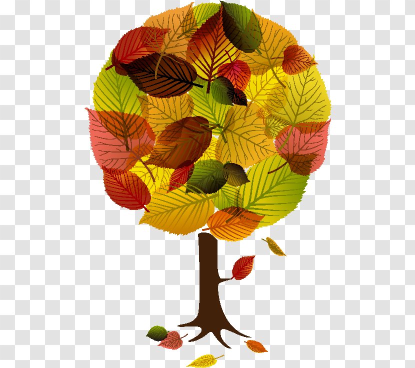 Autumn Leaf Color - Tree Transparent PNG