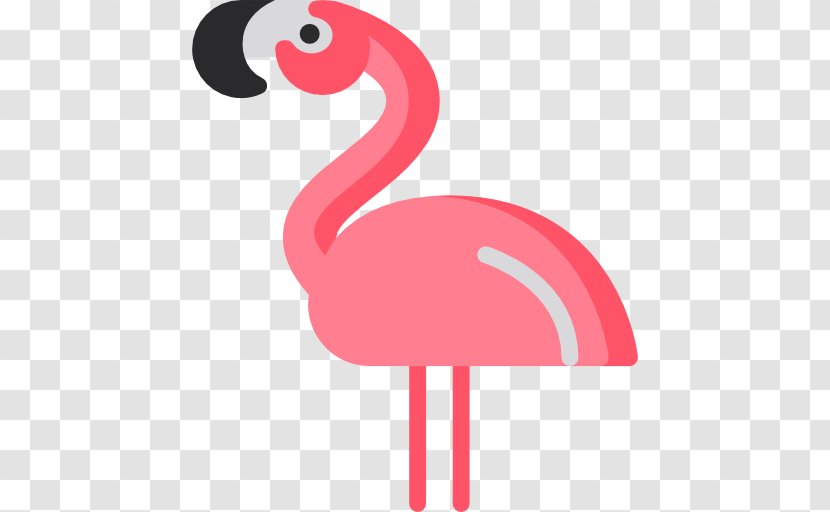 Flamingos Bird Photography - Game - Flamingo Transparent PNG