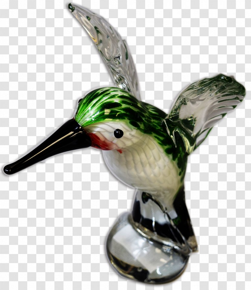 Hummingbird Beak Piciformes Fauna - Bird - Hairy Crab Gift Box Transparent PNG