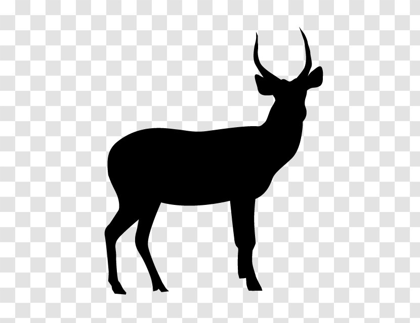 Deer Elk Silhouette - Antler Transparent PNG