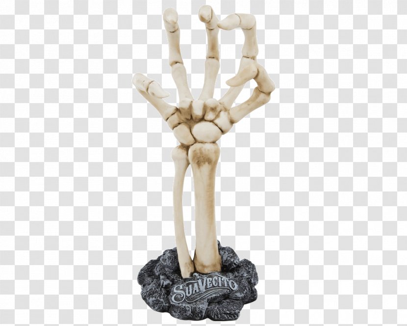 Hand Human Skeleton Anatomy Bone - Silhouette Transparent PNG