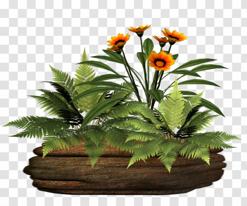Floral Design Flowerpot Plant Tree - Houseplant Transparent PNG