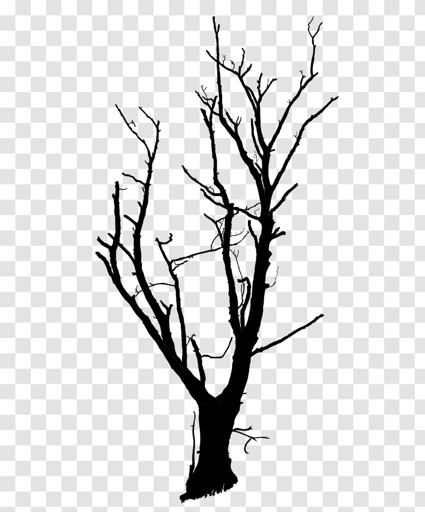Tree Branch Snag Drawing Clip Art - Black And White Transparent PNG
