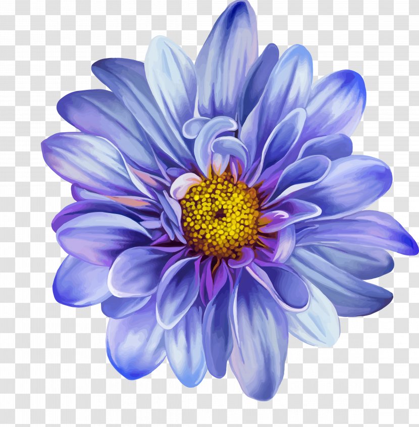 Flower Drawing Blue Rose Clip Art - Aster Transparent PNG