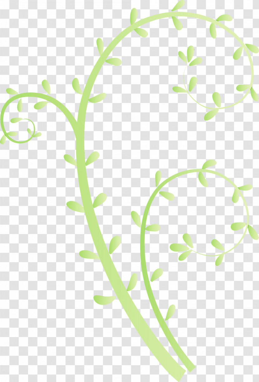 Plant Pedicel Grass Plant Stem Flower Transparent PNG