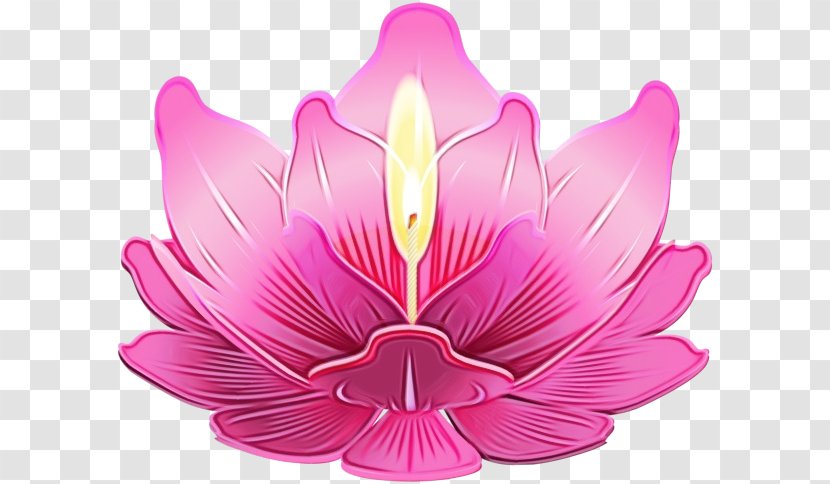 Image Clip Art GIF Candle - Water Lily Transparent PNG