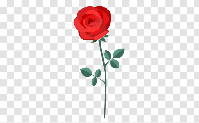 Garden Roses Drawing - Red - Rose Transparent PNG