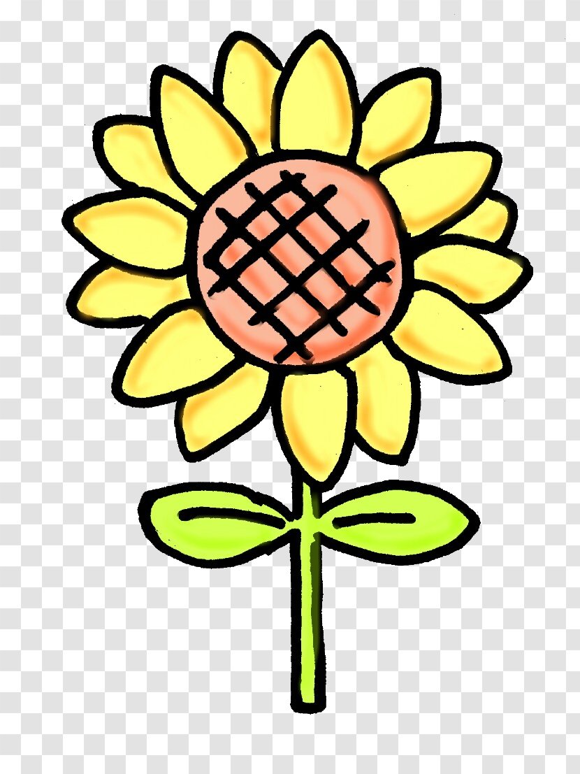 Clip Art Sunflower M Cut Flowers Plant Stem Line - Yellow - Track & Field Transparent PNG