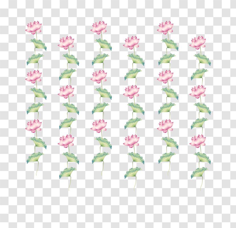 Petal Flora Green Rosaceae Pattern - Family - Lotus Transparent PNG
