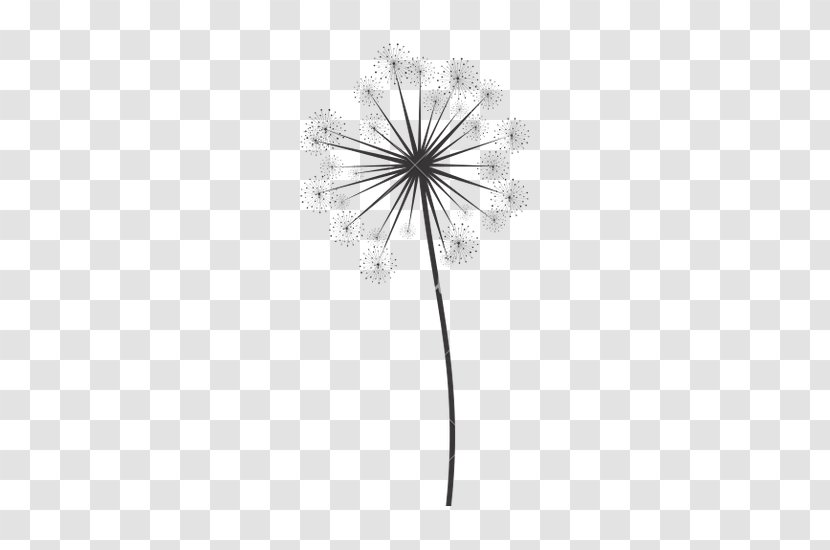 Black And White Monochrome Photography Tree Flower - Dandelion Transparent PNG