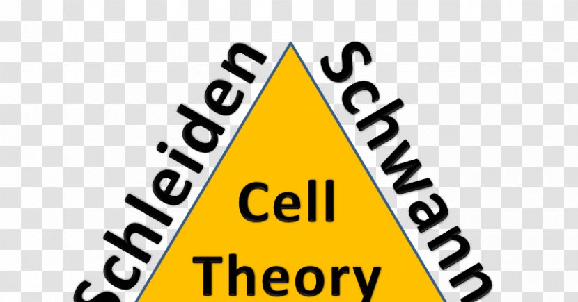 Cell Theory Biology Science - Theodor Schwann - Zacharias Janssen Transparent PNG