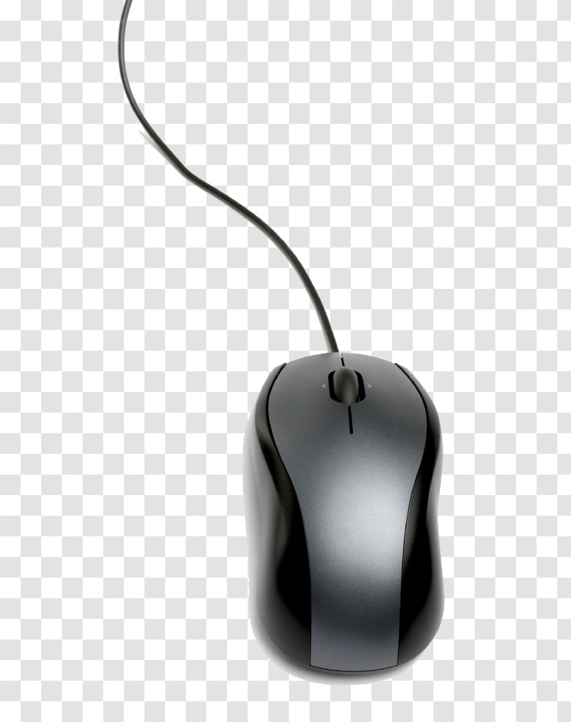Computer Mouse Keyboard Clip Art - Network - HD Transparent PNG