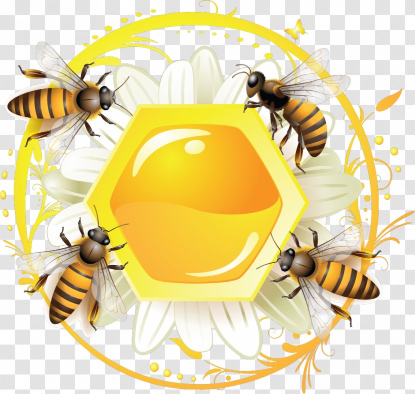 Western Honey Bee Label - Pollinator Transparent PNG