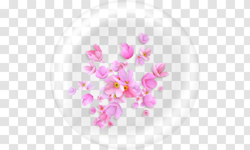 Flower Download Clip Art - Plate Transparent PNG