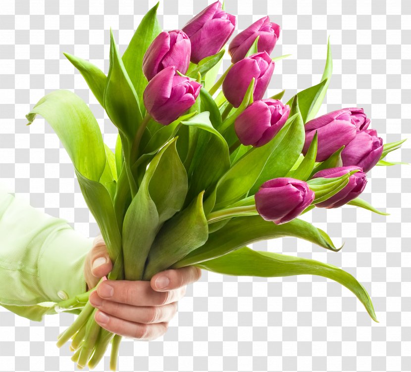 Cut Flowers Stock Photography Tulip Flower Bouquet Transparent PNG