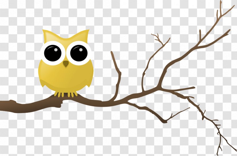 Owl Branch Drawing Clip Art - Tail Transparent PNG