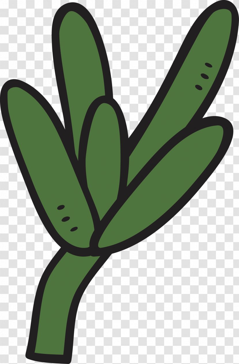 Plant Tropical Rainforest Cactaceae Green - Grass - Striped Cactus Transparent PNG