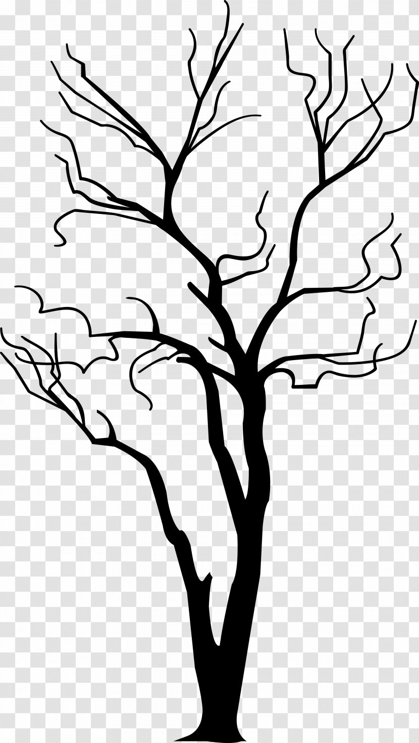 Twig Drawing Branch Clip Art - Tree Transparent PNG
